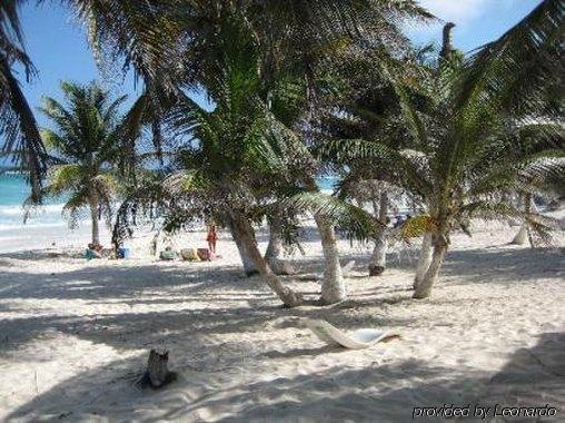 Imagen general del Cabañas Tulum. Foto 6