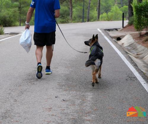 Imagen general del Cabañas Valle del Cabriel. Foto 5