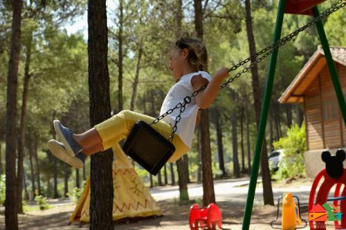 Imagen general del Cabañas Valle del Cabriel. Foto 8