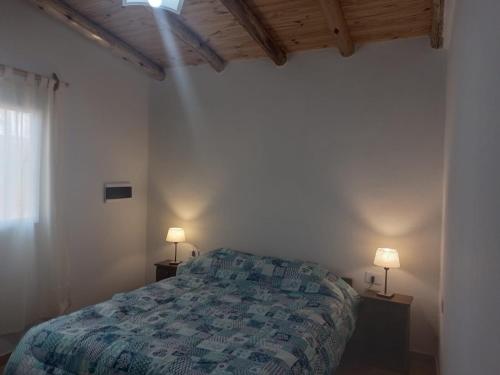 Imagen general del Cabañas rodeada de viñedos con piscina. Foto 1