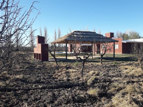 Imagen general del Caba&ntilde;as rodeada de vi&ntilde;edos con piscina. Foto 14
