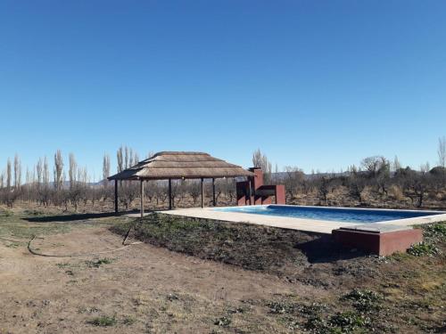 Imagen general del Caba&ntilde;as rodeada de vi&ntilde;edos con piscina. Foto 17