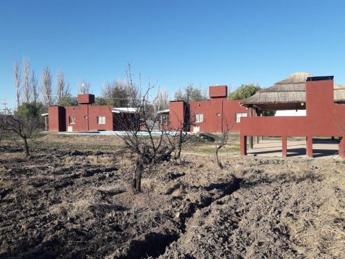 Imagen general del Caba&ntilde;as rodeada de vi&ntilde;edos con piscina. Foto 18