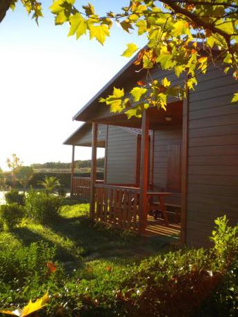 Imagen general del Cabañas-bungalows-camping la Vera. Foto 5