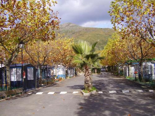 Imagen general del Cabañas-bungalows-camping la Vera. Foto 6