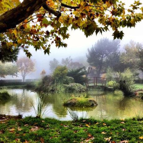 Imagen de la habitación del Cabañas-bungalows-camping la Vera. Foto 9