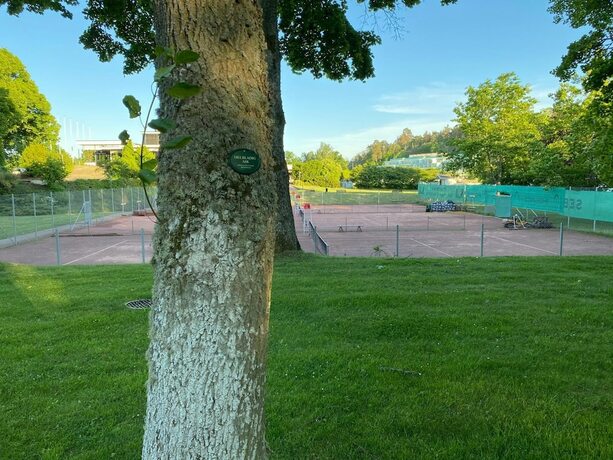 Imagen general del Café Mandeltårtan Bandb Villafloraviola. Foto 8