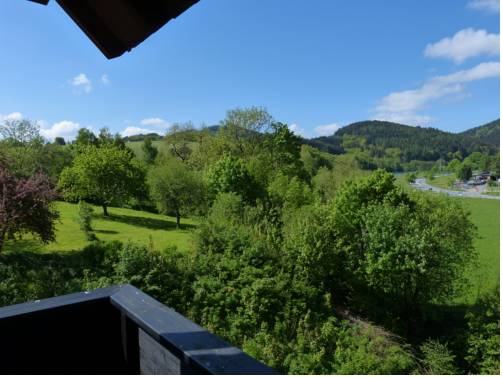 Imagen de la habitación del Cafe-pension Waldesruh. Foto 5