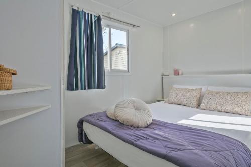 Imagen general del Càmping Castell Montgrí ****. Foto 7