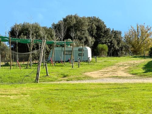 Imagen general del C&agrave;mping Rural Montori. Foto 11