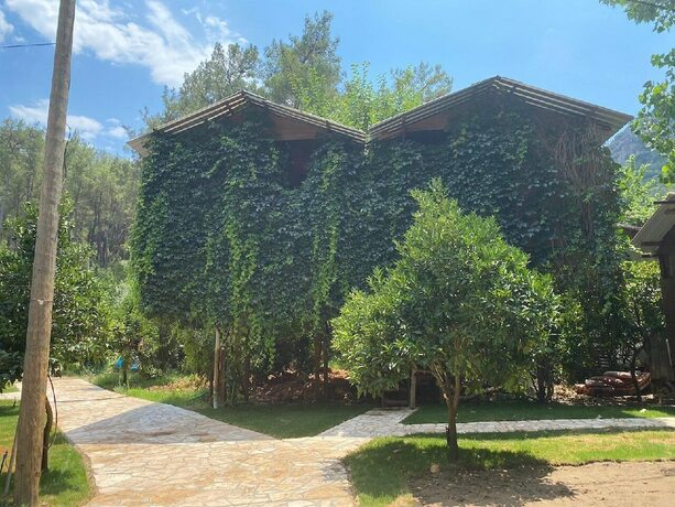 Imagen general del Camlik Pansiyon. Foto 3