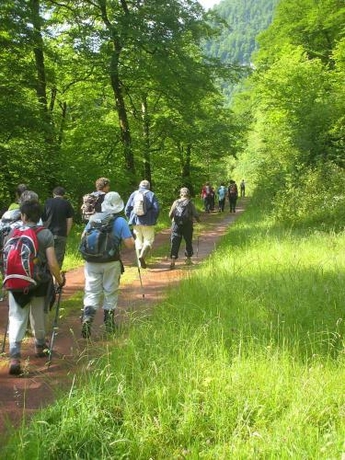 Imagen general del Camou. Foto 6