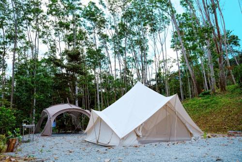 Imagen de la habitación del Camp L&ugrave; Yīng. Foto 13