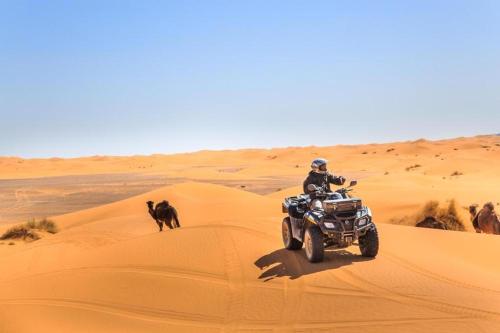 Imagen general del Camp Sahara Dunes. Foto 1