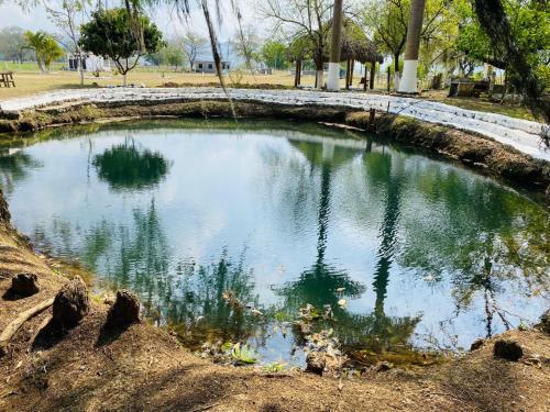 Imagen general del Campamento QUINTA SAN PEDRO TAMASOPO. Foto 3