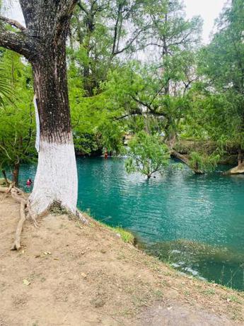 Imagen general del Campamento QUINTA SAN PEDRO TAMASOPO. Foto 7