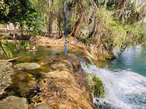 Imagen general del Campamento QUINTA SAN PEDRO TAMASOPO. Foto 13