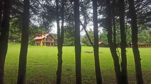 Imagen general del Campamento Zirahuén. Foto 2