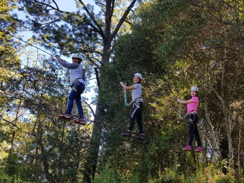 Imagen general del Campamento Zirahuén. Foto 5