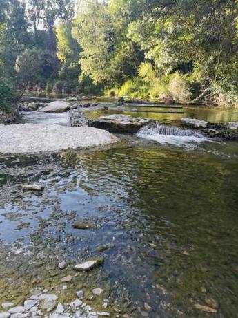 Imagen general del Camping 3 étoiles - Parc aquatique - eecfdg. Foto 13