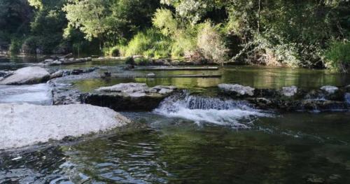 Imagen general del Camping 3 étoiles - Parc aquatique - eecfdg. Foto 14