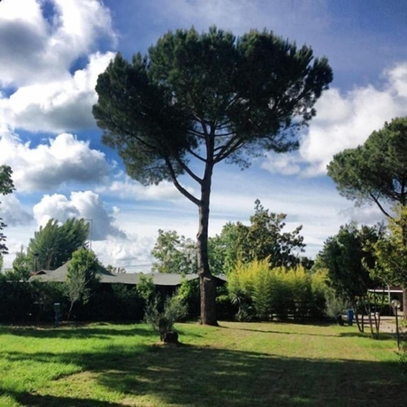 Imagen de los exteriores del Camping Amalasunta. Foto 17