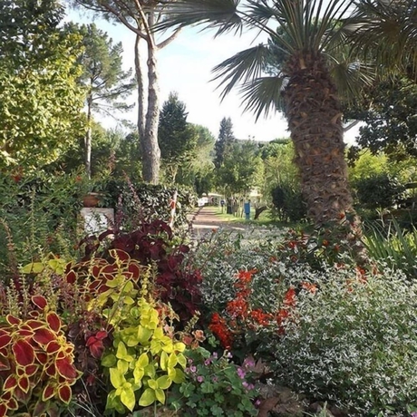 Imagen de los exteriores del Camping Amalasunta. Foto 19