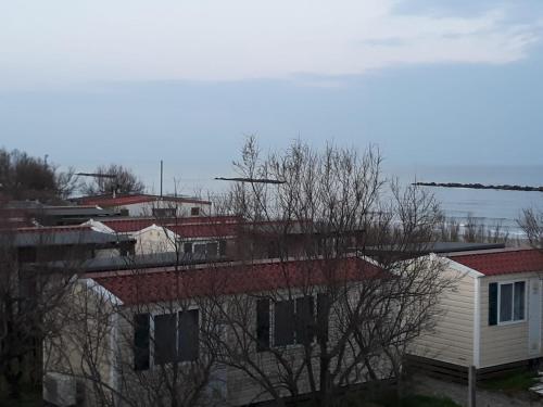 Imagen general del Camping Ancora. Foto 4