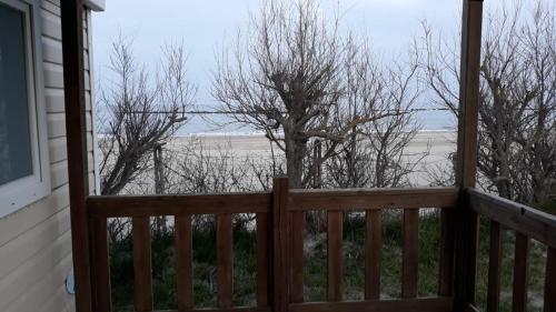 Imagen general del Camping Ancora. Foto 5