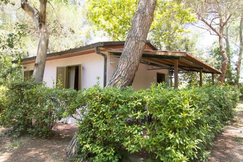 Imagen de la habitación del Camping Campo dei Fiori. Foto 9