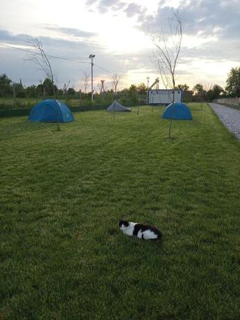 Imagen general del Camping Danubius Tulcea. Foto 13