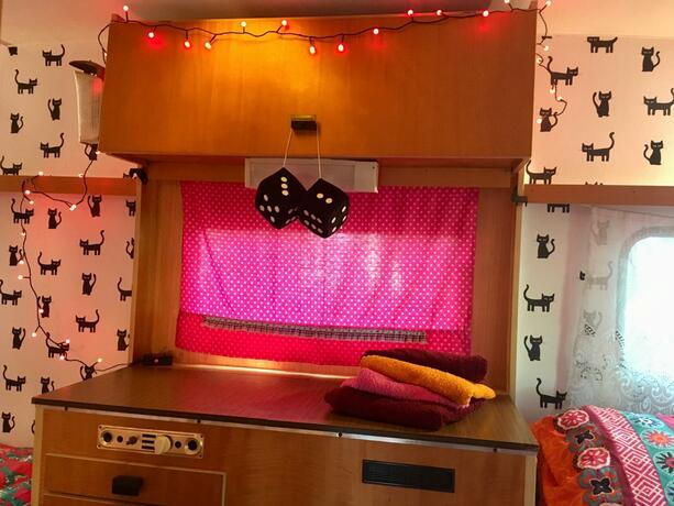 Imagen general del Camping De Helleborus. Foto 2