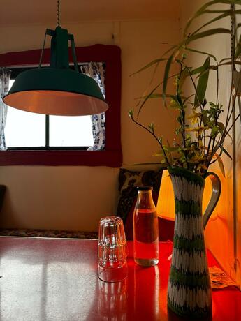 Imagen general del Camping De Helleborus. Foto 3