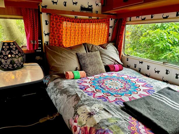 Imagen general del Camping De Helleborus. Foto 11