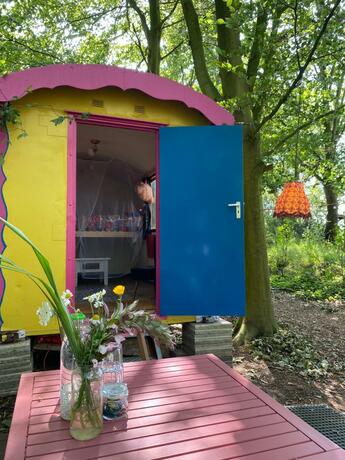 Imagen general del Camping De Helleborus. Foto 14