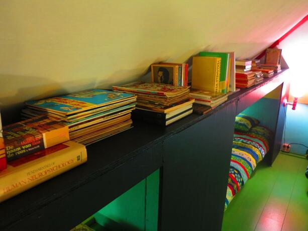 Imagen general del Camping De Helleborus. Foto 26