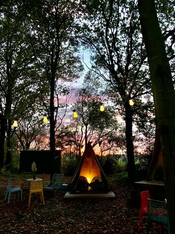 Imagen general del Camping De Helleborus. Foto 44