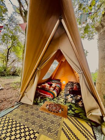 Imagen general del Camping De Helleborus. Foto 47