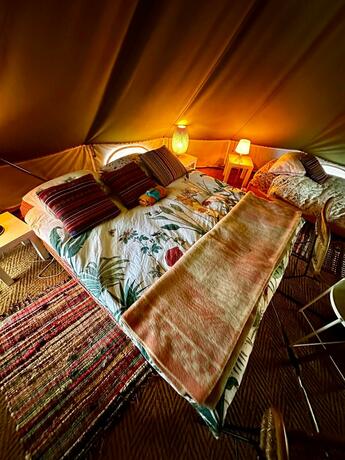 Imagen general del Camping De Helleborus. Foto 48