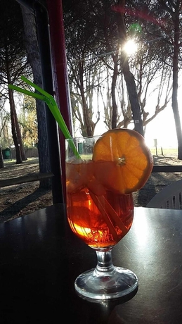 Imagen del bar/restaurante del Camping Eden Park. Foto 5