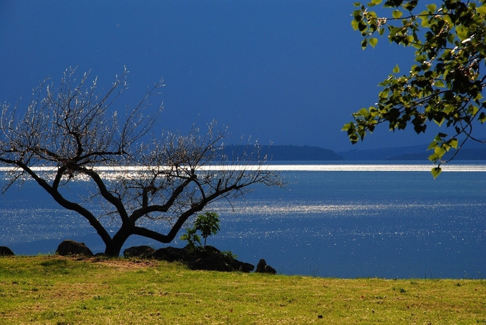 Imagen de los exteriores del Camping Eden Park. Foto 16