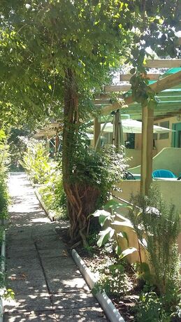 Imagen general del Camping Europa Beach. Foto 7