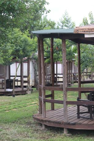 Imagen general del Camping Girasole. Foto 21