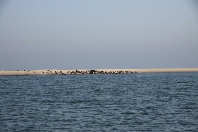 Imagen general del Camping Hotel Renesse. Foto 21