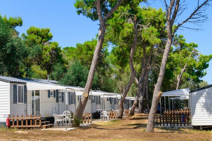 Imagen general del Camping La Scogliera. Foto 45