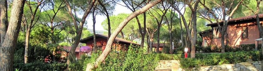Imagen general del Camping Lacona Pineta. Foto 7