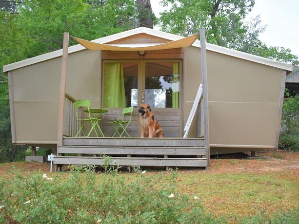 Imagen de la habitación del Camping Les Pins de Sel. Foto 12