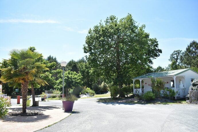 Imagen general del Camping Les Pins de Sel. Foto 11