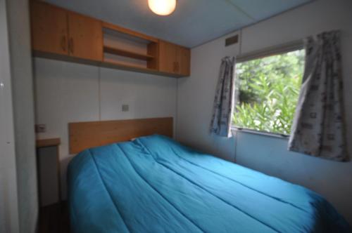 Imagen general del Camping Les Sables d\'Or. Foto 2