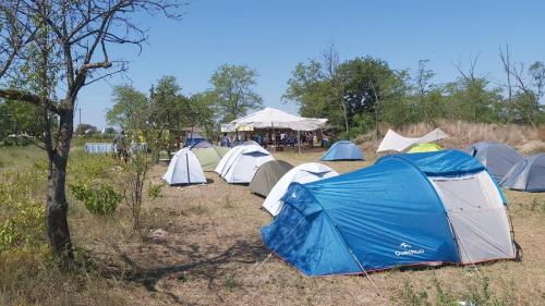 Imagen general del Camping Letea Himalaya. Foto 2